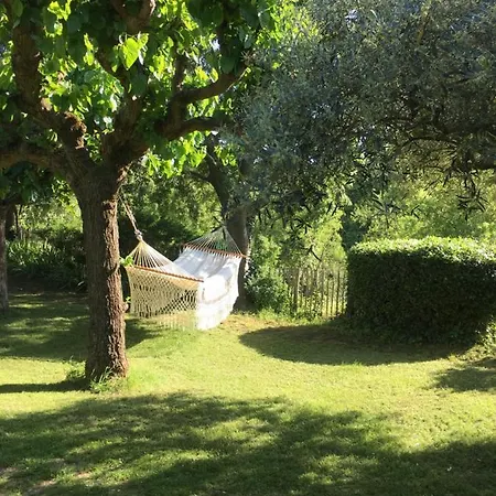 La Maison Des Olivettes ベッド・アンド・ブレックファスト 4*