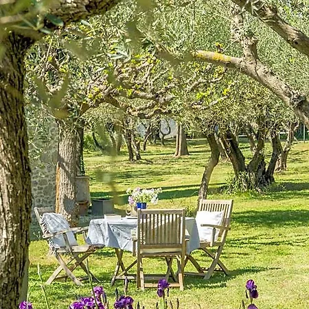 ベッド・アンド・ブレックファスト La Maison Des Olivettes ユゼ